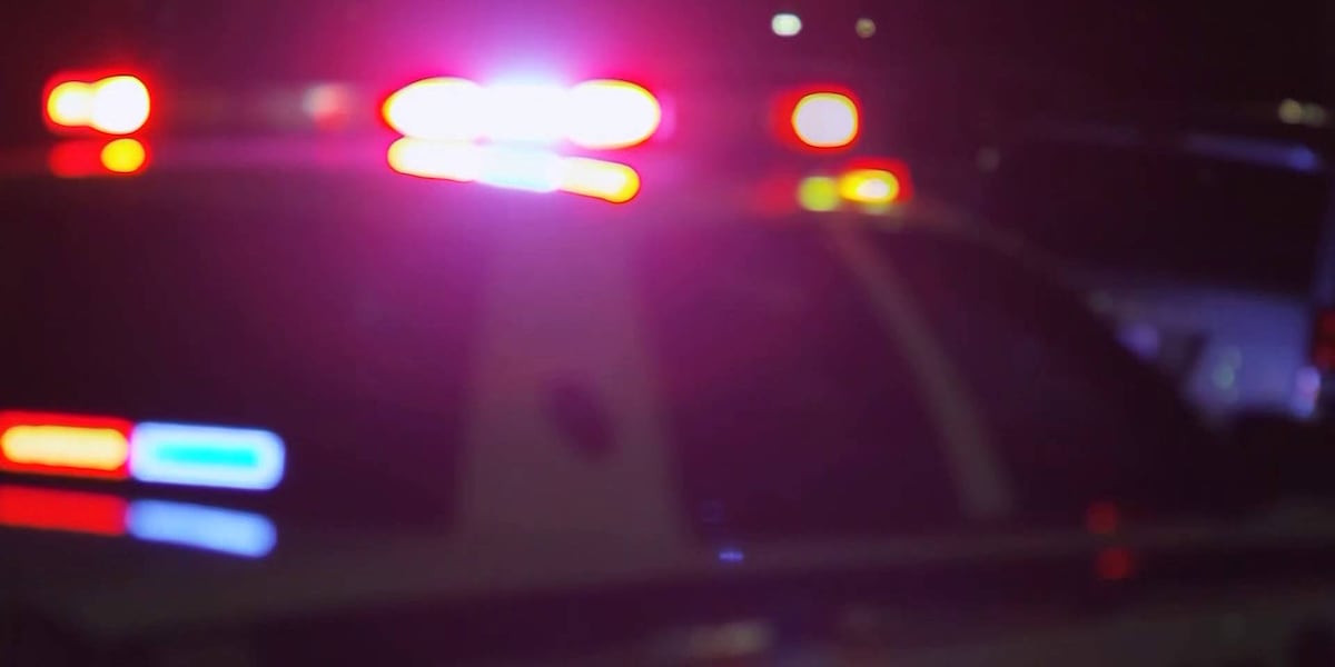 Demopolis teenager killed in crash