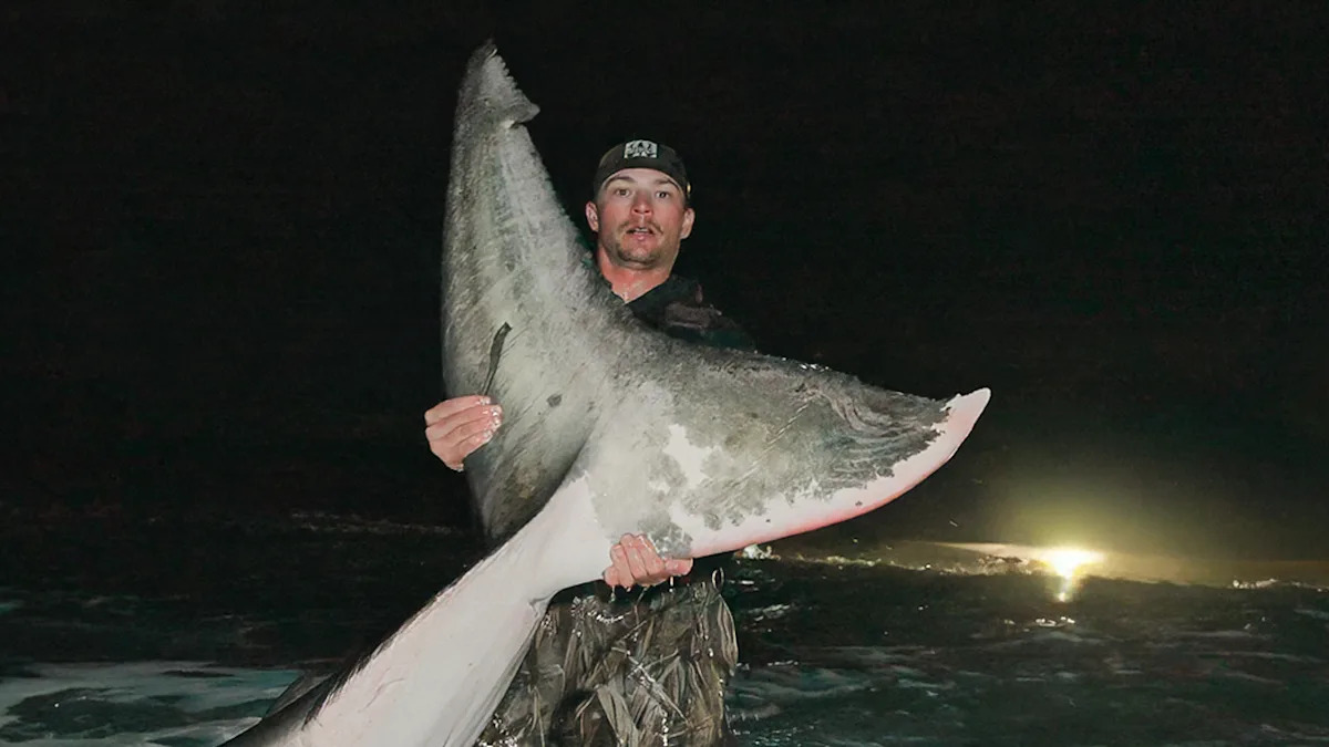 Yahoo lifestyle home