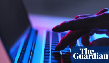 Experts warn of threat to democracy from ‘AI bot swarms’ infesting social media | AI (artificial intelligence)