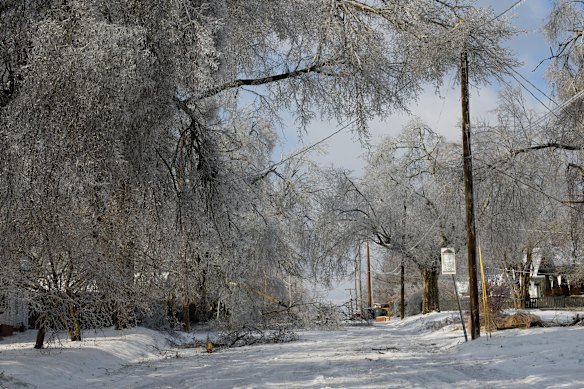 Ice covers trees and power lines in Nashville, Tennessee.