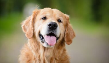 Yahoo lifestyle home