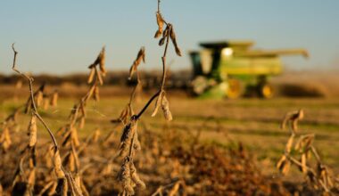 China meets initial soybean purchase goal, but Trump's shifting trade policy could disrupt deal