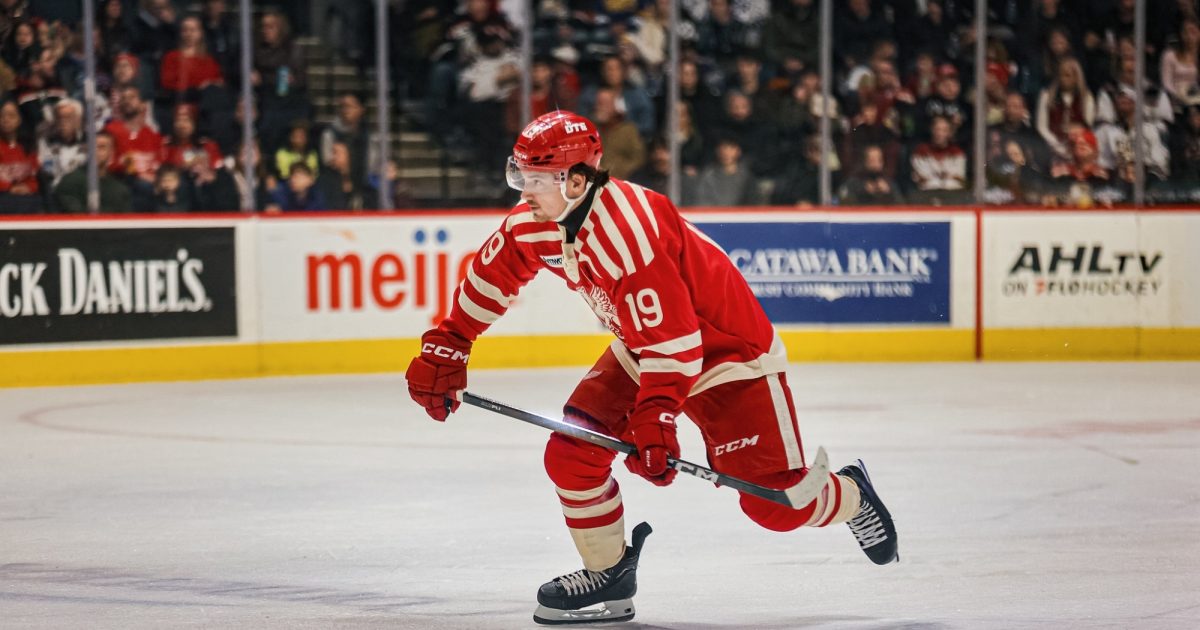 Grand Rapids Griffins | Hold The Celebration
