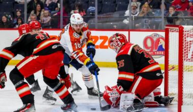 Grand Rapids Griffins | The Not-So Great White North