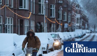 ‘Damage is piling up’: has the Netherlands forgotten how to cope with snow? | Netherlands