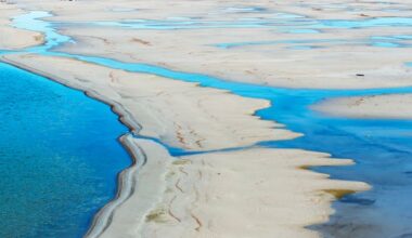 Sundance film captures the race to save Great Salt Lake – Deseret News