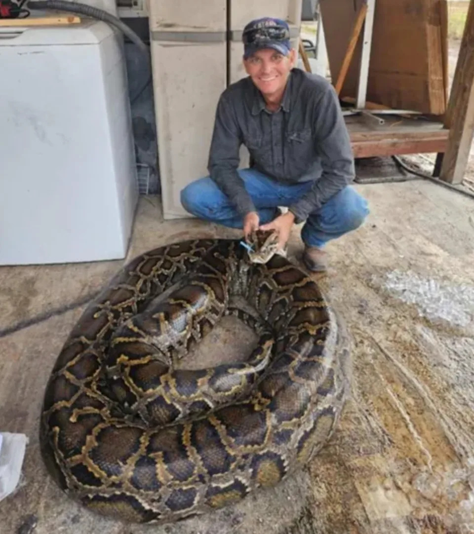 Carl Jackson poses with the second-heaviest Burmese python ever caught in Florida.