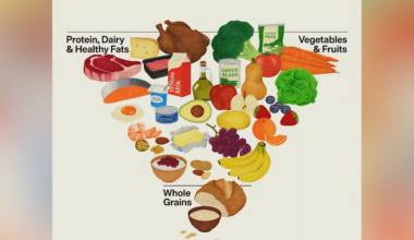 Dietitian reacts to new federal dietary guidelines pushed by Trump administration