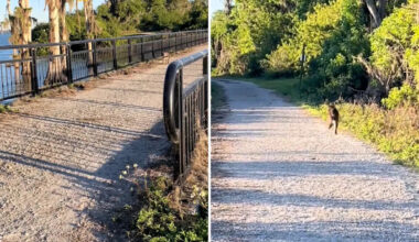 Yahoo lifestyle home