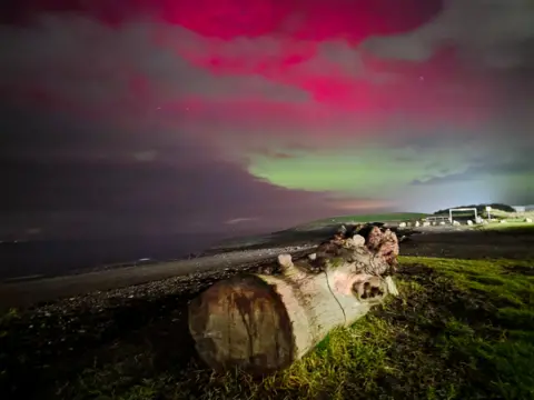 BBC Weather Watchers/Skywatcher Green and red aurora colours shine through cloud over a coastal landscape, with a large driftwood log in the foreground on grassy ground.