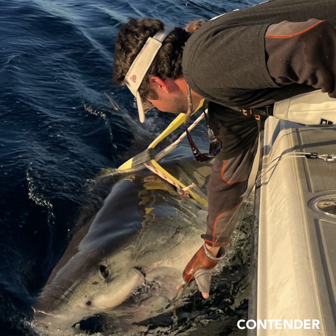 600086477 1235721468603112 3618777660082573619 N