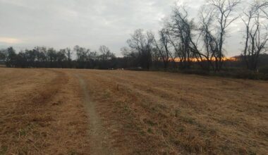 Delaware State Parks marks 75 years with MLK Day of Service | The Latest from WDEL News