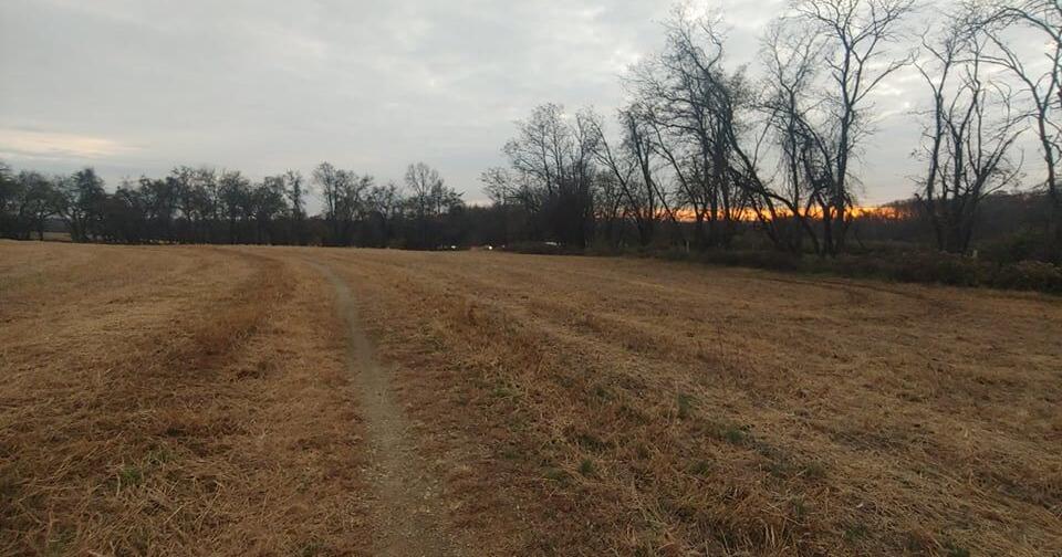 Delaware State Parks marks 75 years with MLK Day of Service | The Latest from WDEL News