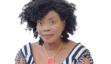 Economy 'stabilised' but impact not felt – Janet Nabla opines