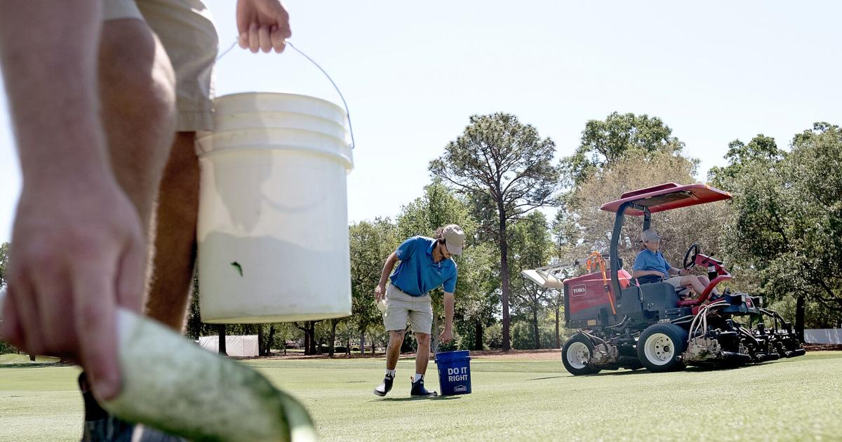 SC college is behind the best golf courses, MLB turfs in US