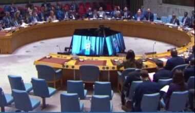 US scholar: United States violating UN Charter - World