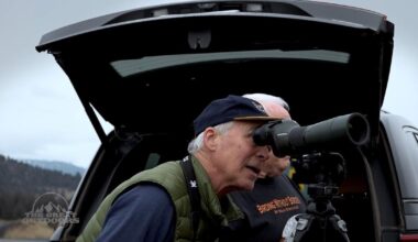 Winter raptor surveys track eagles, hawks in Central Oregon | The Great Outdoors