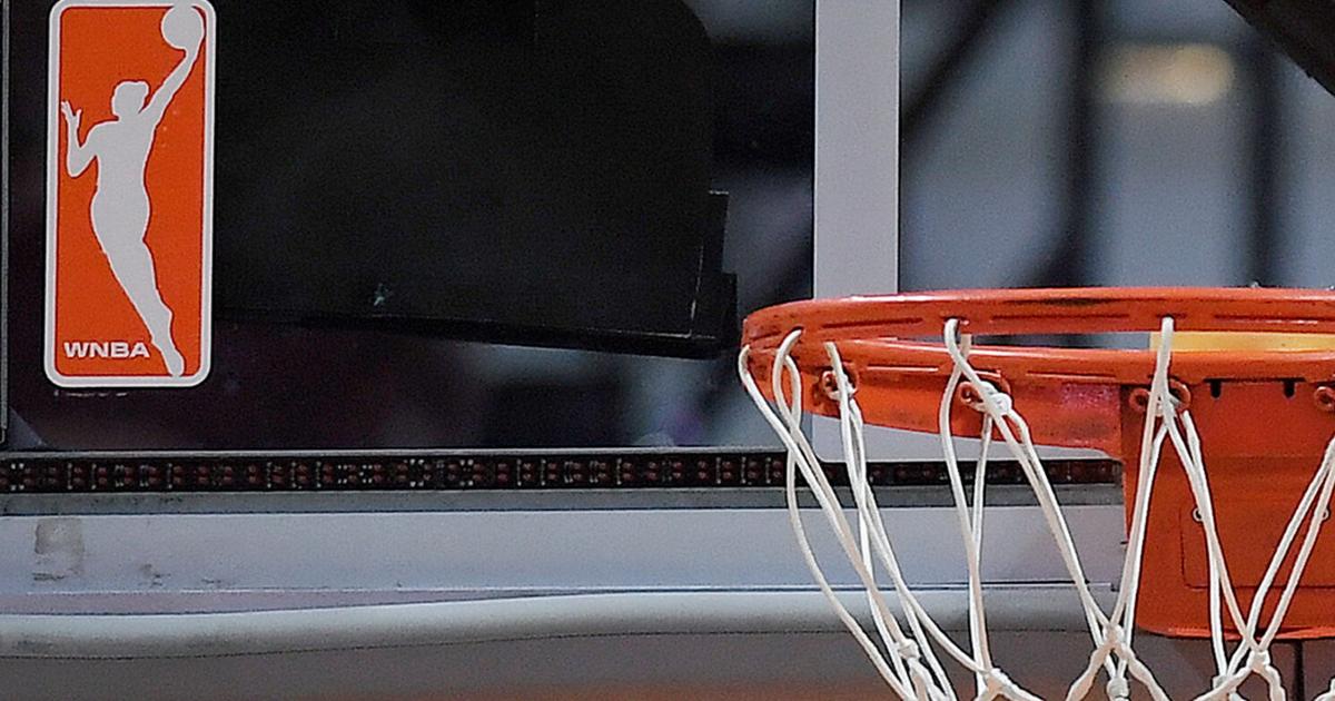 WNBA, players' union agree to moratorium, halting initial stages of free agency | Professional