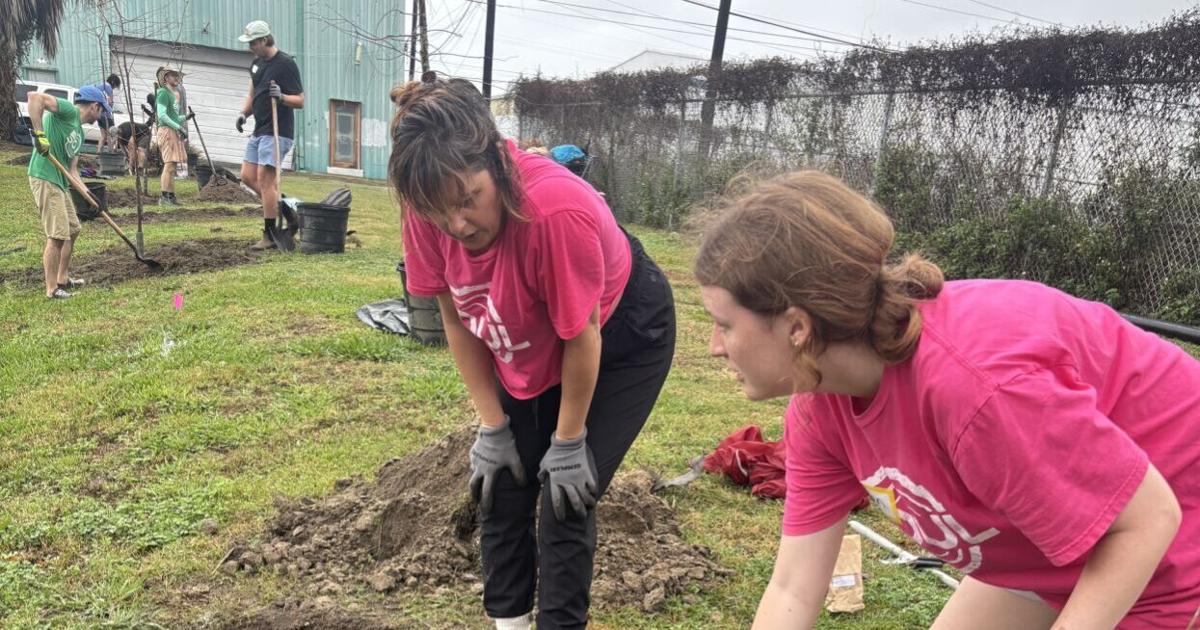 Creating a green canopy along New Orleans’ Lafitte Greenway | Entertainment/Life
