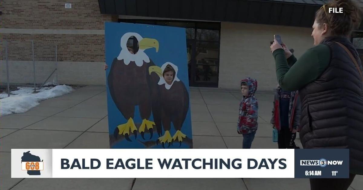 In the 608: Bald Eagle Watching Days this weekend | Features