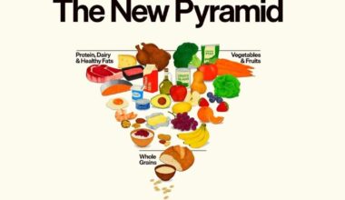 Covering Your Health: New food pyramid emphasizes protein & healthy fats | Health