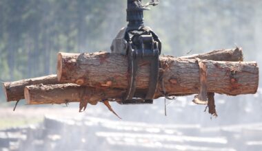 Why nature should be the new bottom line for business in 2026