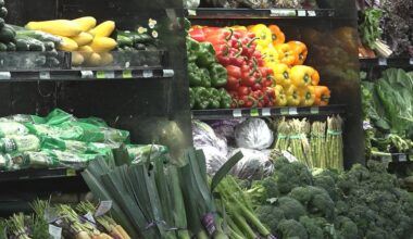 Local doctor reacts to the new food pyramid guidelines