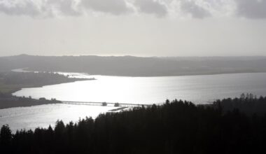 Oregon Sees One of Nation’s Largest Drops in Obamacare Enrollment