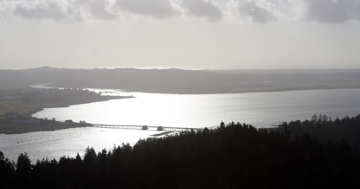 Oregon Sees One of Nation’s Largest Drops in Obamacare Enrollment