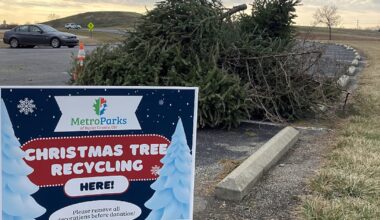 Still taking down the Christmas tree and holiday lights? Here are Butler County recycling options