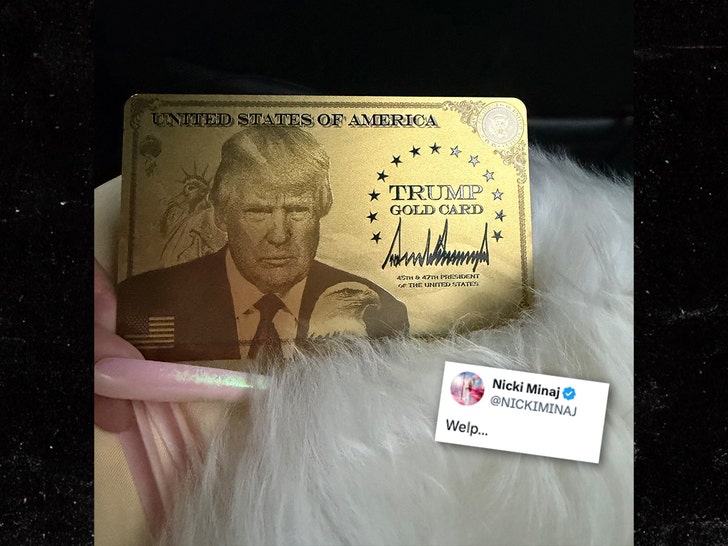 nicki minaj donald trump x 1