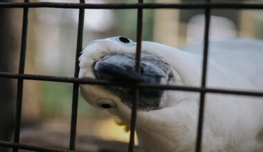 Yahoo lifestyle home