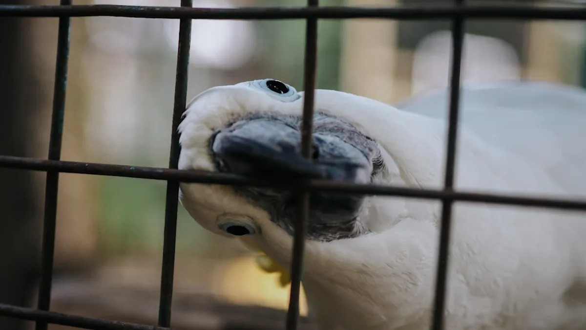 Yahoo lifestyle home