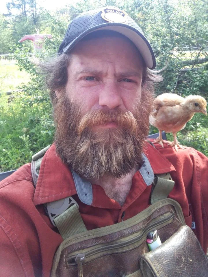 Bug Hall on X Bug Hall/X