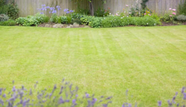 Yahoo lifestyle home