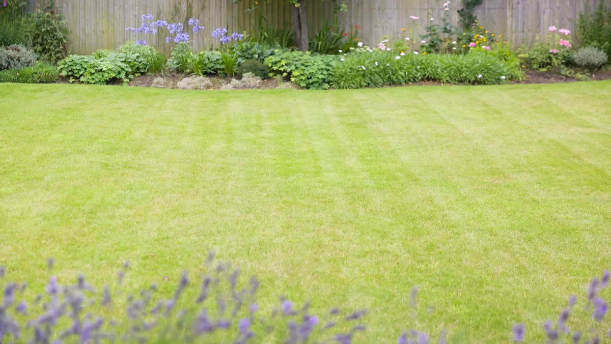 Yahoo lifestyle home