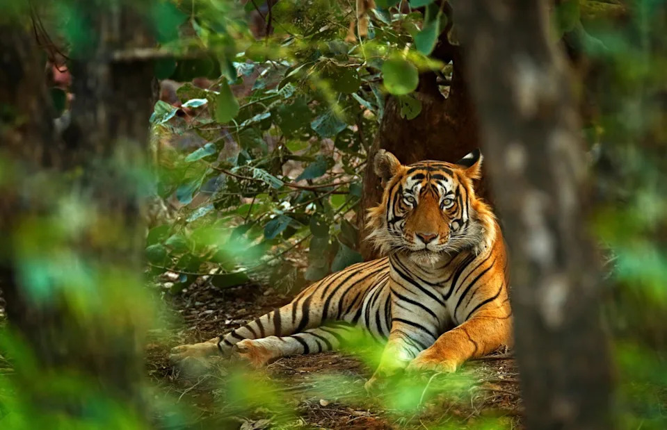 <p>Ondrej Prosicky/Shutterstock</p>