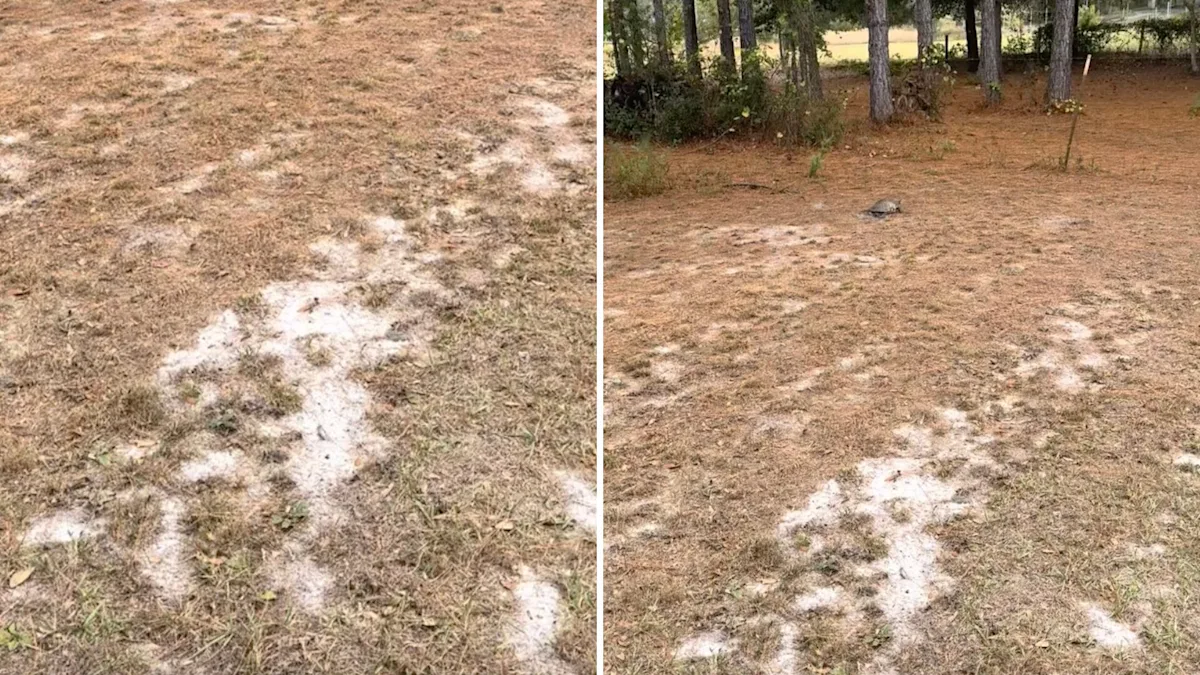 Yahoo lifestyle home