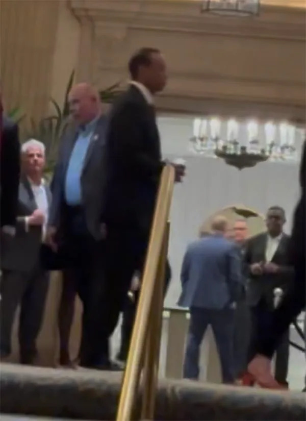 Woods was also snapped at the bash. MEGA for PageSix.com