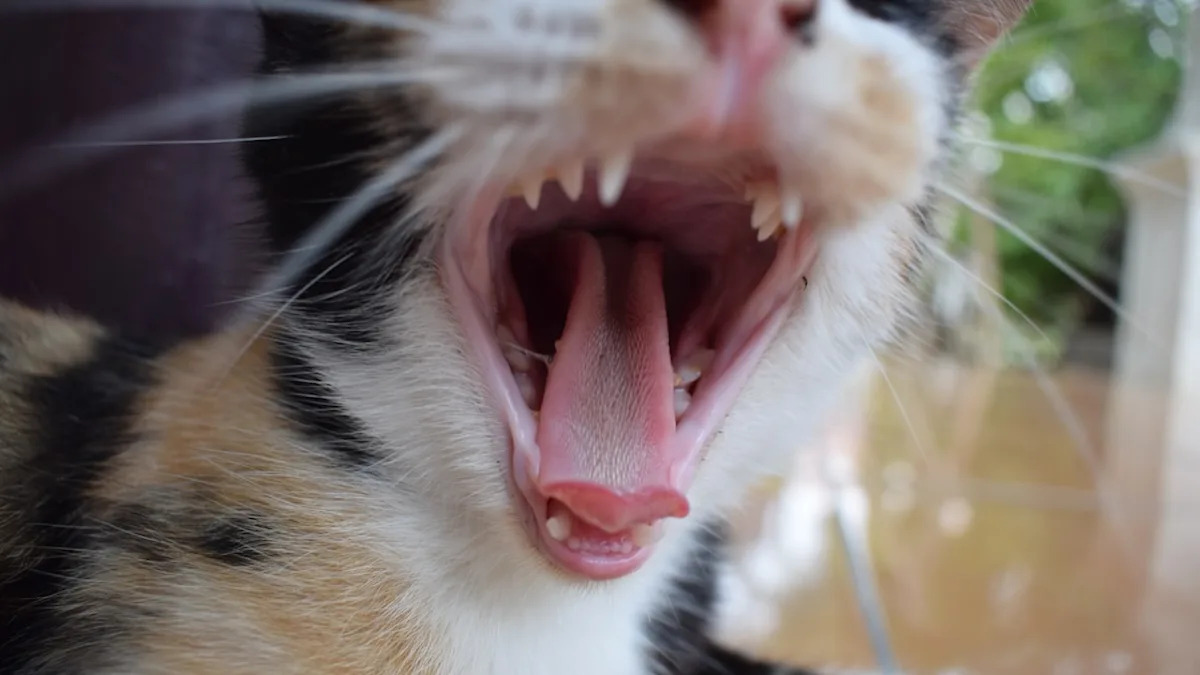 Yahoo lifestyle home