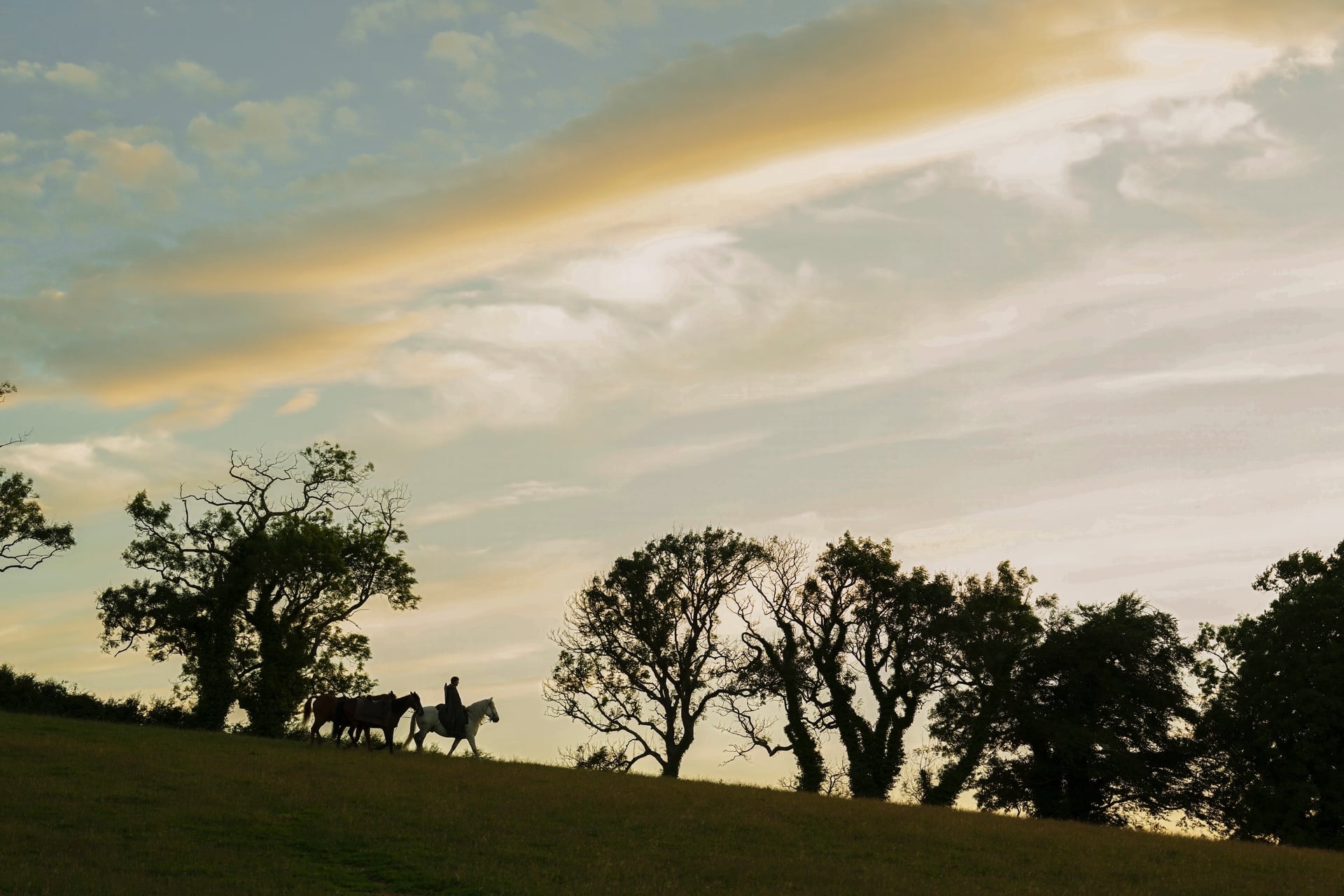 Aknight Dunkandhorses