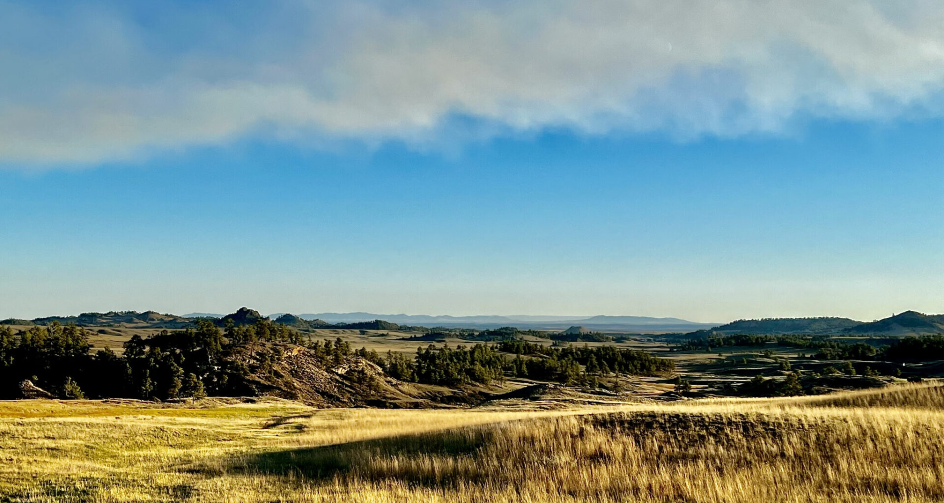 Burgum yanks American Prairie bison grazing leases