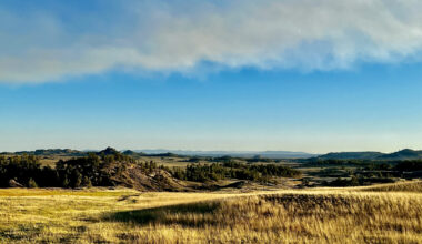 Burgum yanks American Prairie bison grazing leases