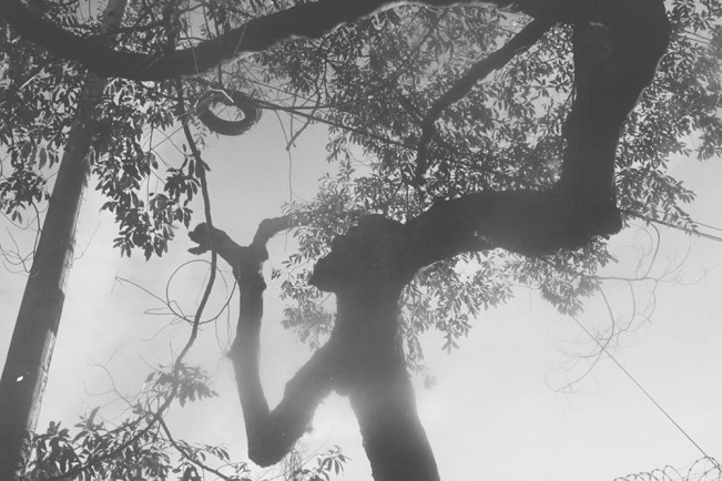 Angelo_Ocampo - angelo perception