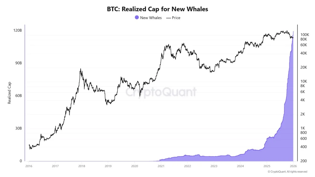 BTC Realized Cap For New Whales