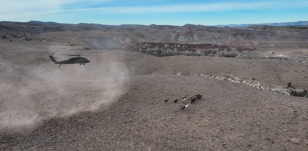 Utah man attempts to use his Blackhawk helicopter to save 34 wild horses in last-minute call