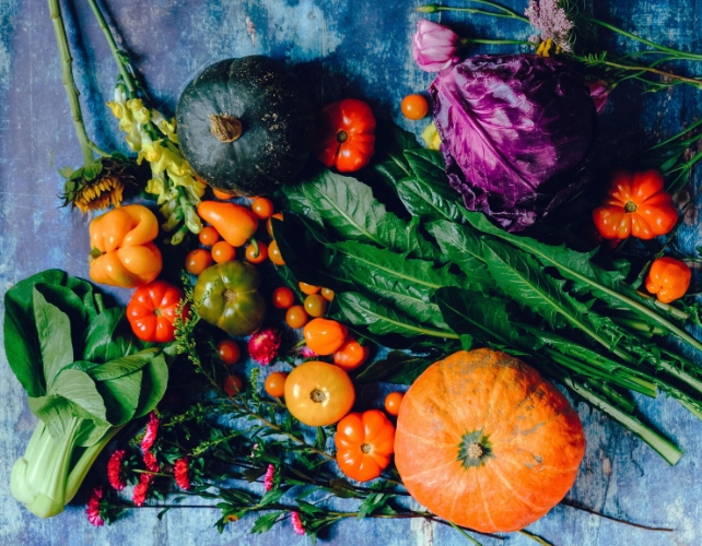 Variety of vegetables on a blue background