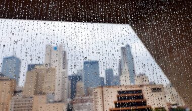 Prominent Dallas architects say City Hall is sound, efficient and worth saving