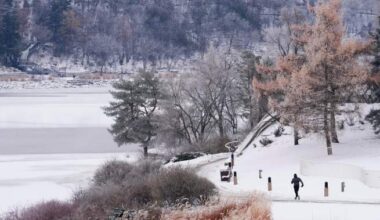 Polar vortex: What is the frigid arctic system hitting Canada? - National