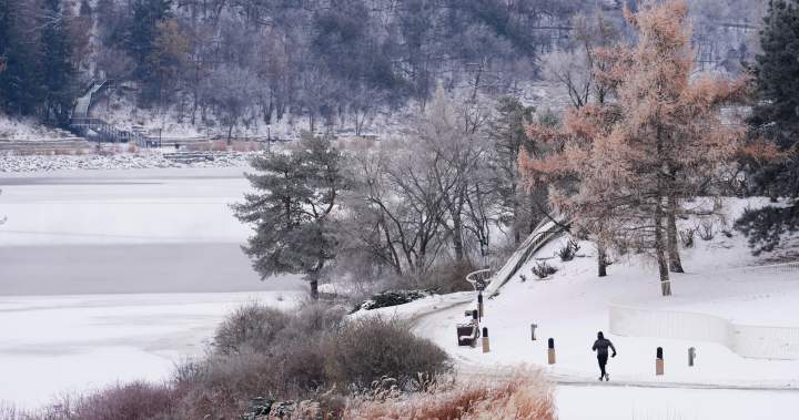 Polar vortex: What is the frigid arctic system hitting Canada? - National